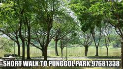 Blk 475C Parkland Residences (Hougang), HDB 4 Rooms #89727092